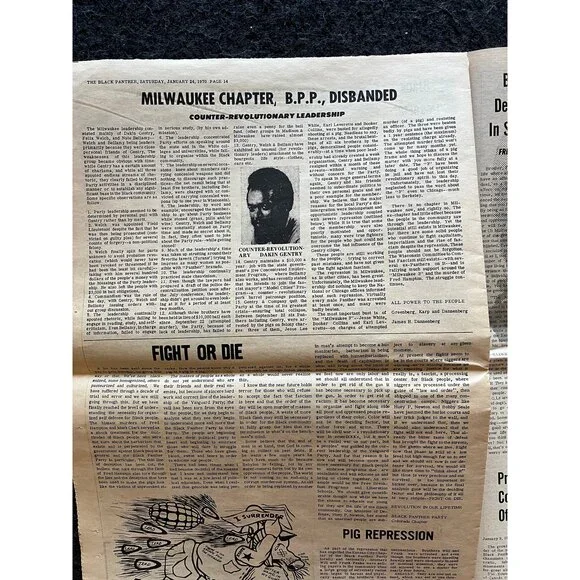 1971 Affordable Housing Black Panther Political Party, Black Excellence, Civil